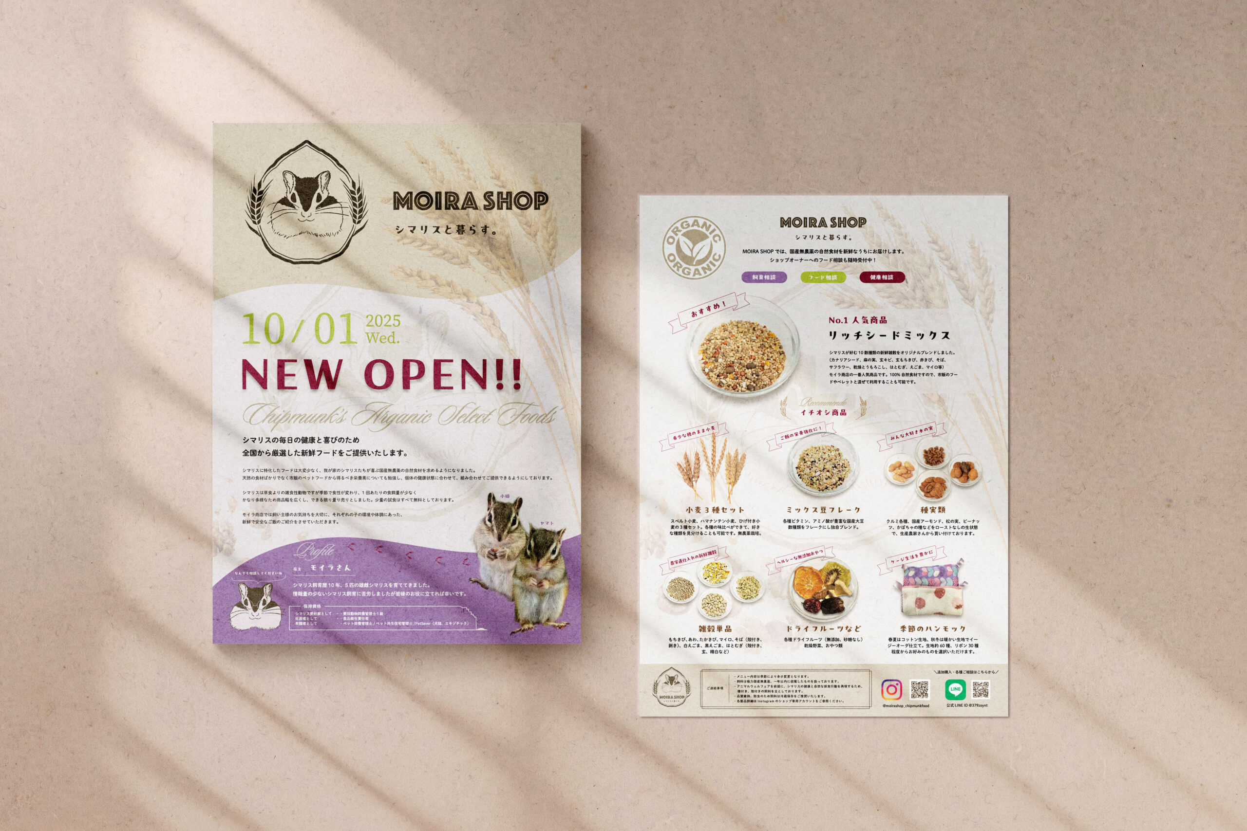 moirashopフライヤー